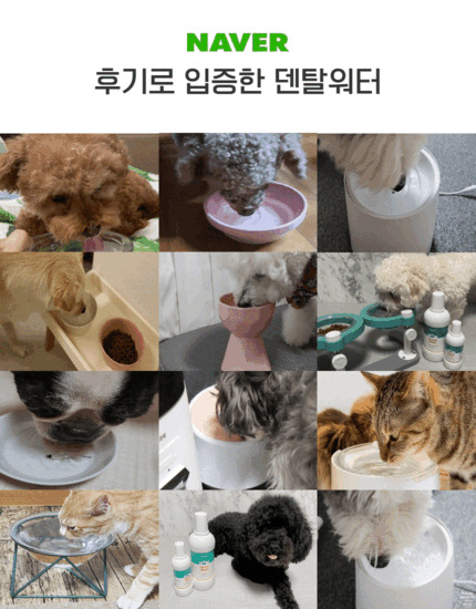 [무료배송] 견우직냥x펫츠워드 덴탈워터 500ml 9번째