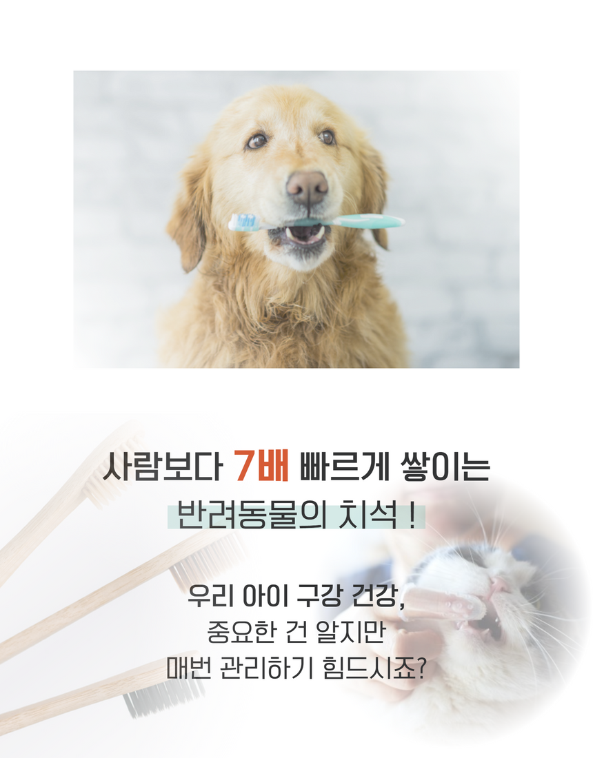 [무료배송] 견우직냥x펫츠워드 덴탈워터 500ml 4번째