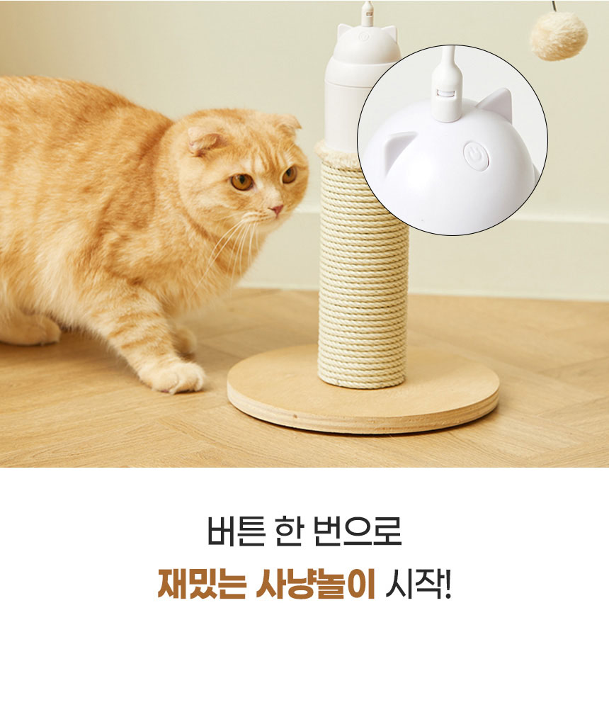 [NEW신상][무료배송] 펫토리아 고양이 자동 장난감 토퍼 포스트 스크래쳐 6번째