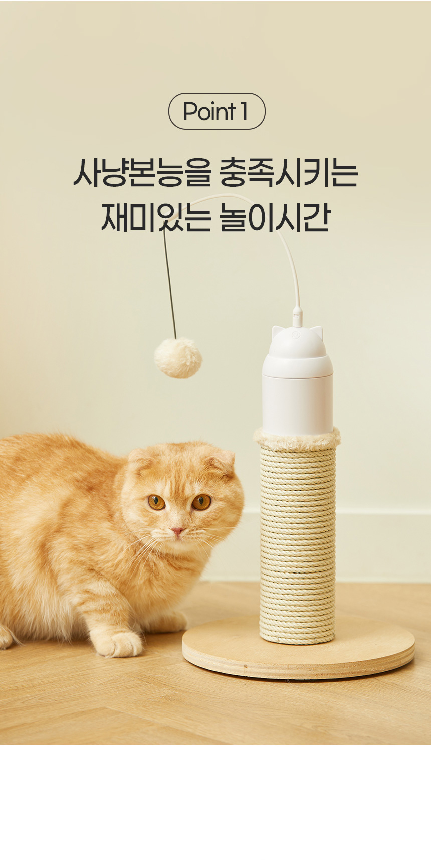 [NEW신상][무료배송] 펫토리아 고양이 자동 장난감 토퍼 포스트 스크래쳐 5번째