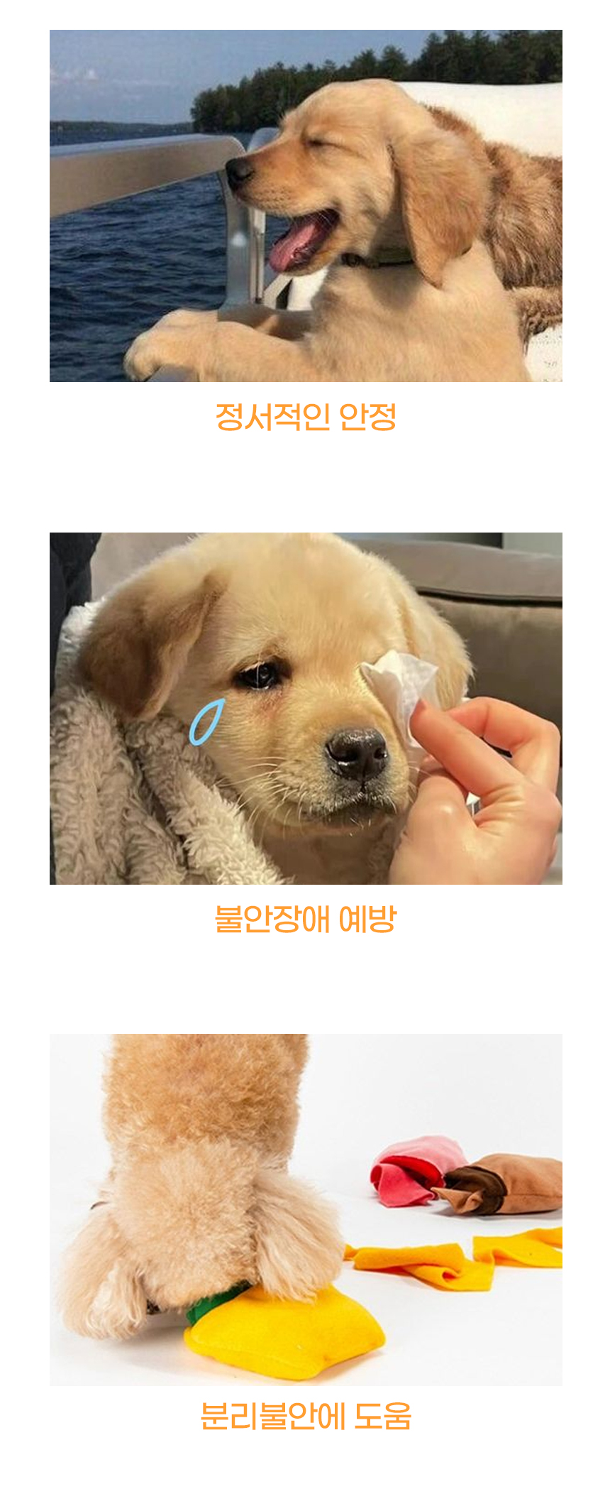 [NEW신상][무료배송] 개과천선 프리마 하우스 (체크 핑크/체크 베이지/체크 그레이) 5번째