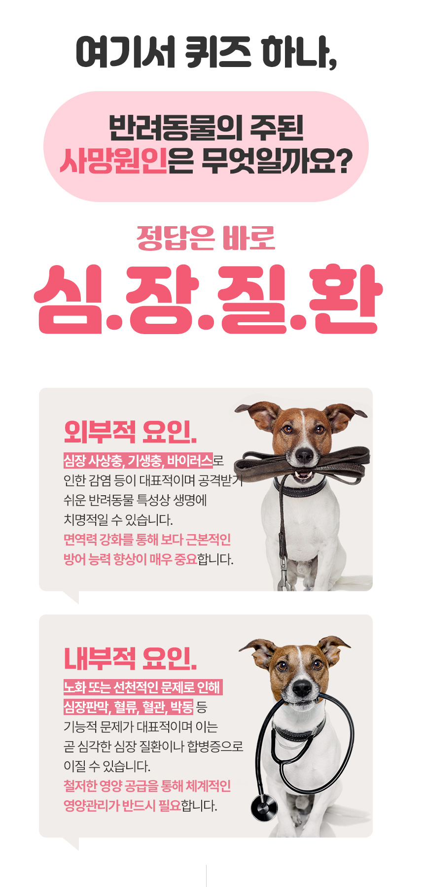[무료배송] 댕이수랏간 침향심장튼튼 70g 8번째
