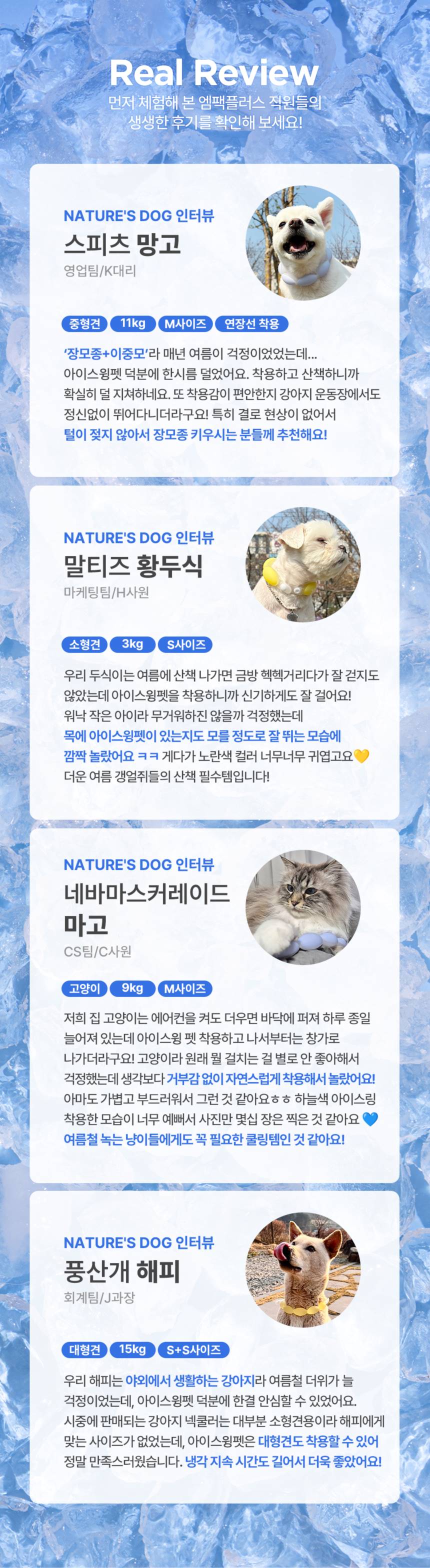 [NEW신상][무료배송] 네이처스독 아이스윙 산책 넥쿨러 8번째