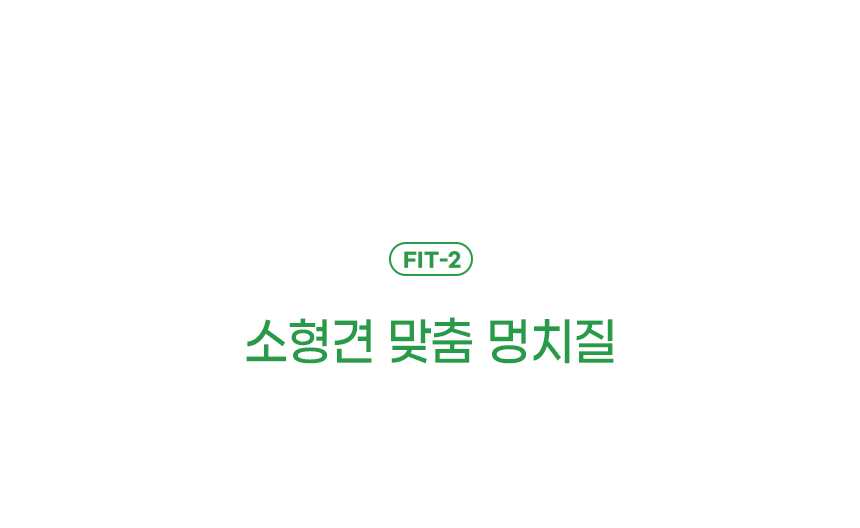 [창고대방출] [체험팩] 리브펫 덴탈핏츄 1p 21번째