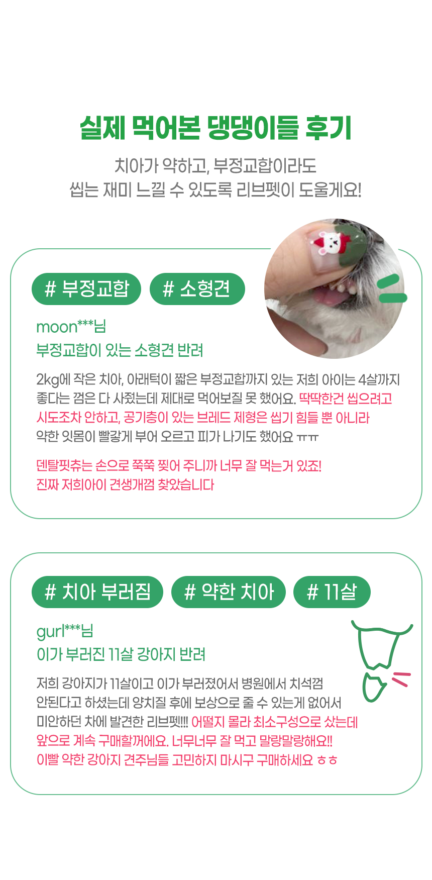 [창고대방출] [체험팩] 리브펫 덴탈핏츄 1p 13번째