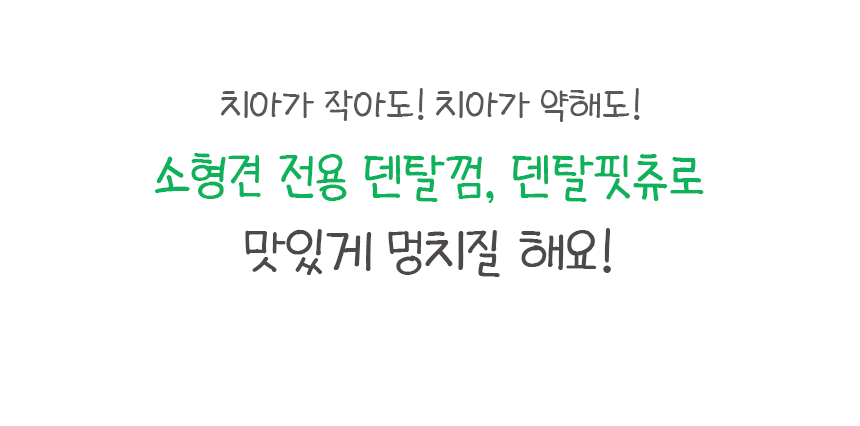 [창고대방출] [체험팩] 리브펫 덴탈핏츄 1p 17번째