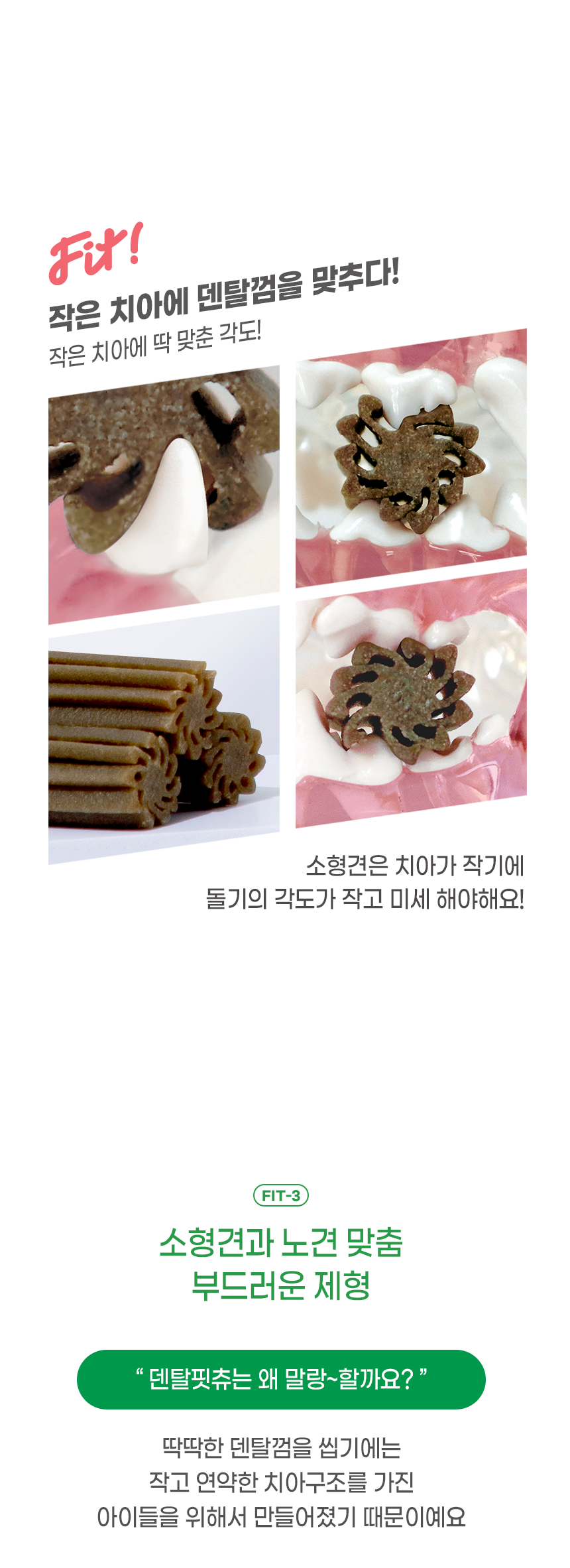 [창고대방출] [체험팩] 리브펫 덴탈핏츄 1p 23번째