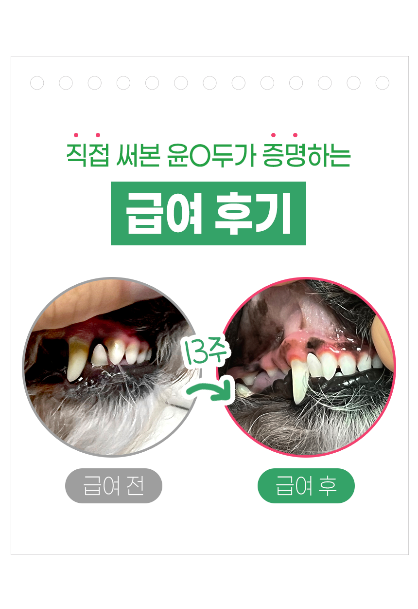 [창고대방출] [체험팩] 리브펫 덴탈핏츄 1p 12번째