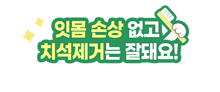 [창고대방출] [체험팩] 리브펫 덴탈핏츄 1p 10번째