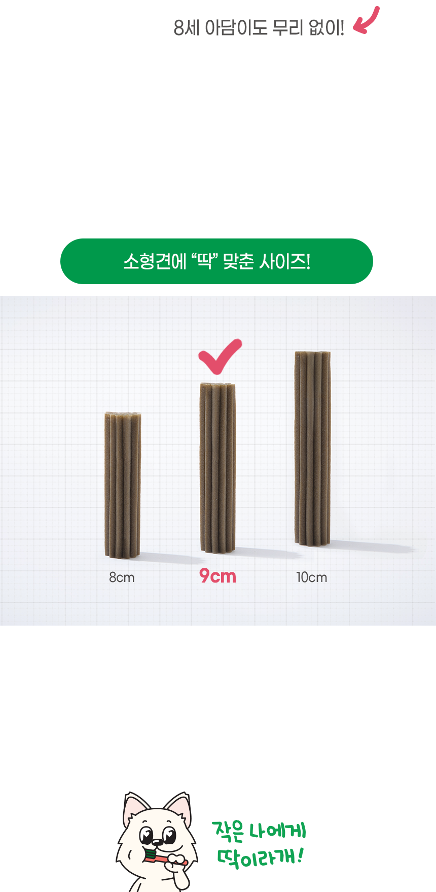[창고대방출] [체험팩] 리브펫 덴탈핏츄 1p 27번째