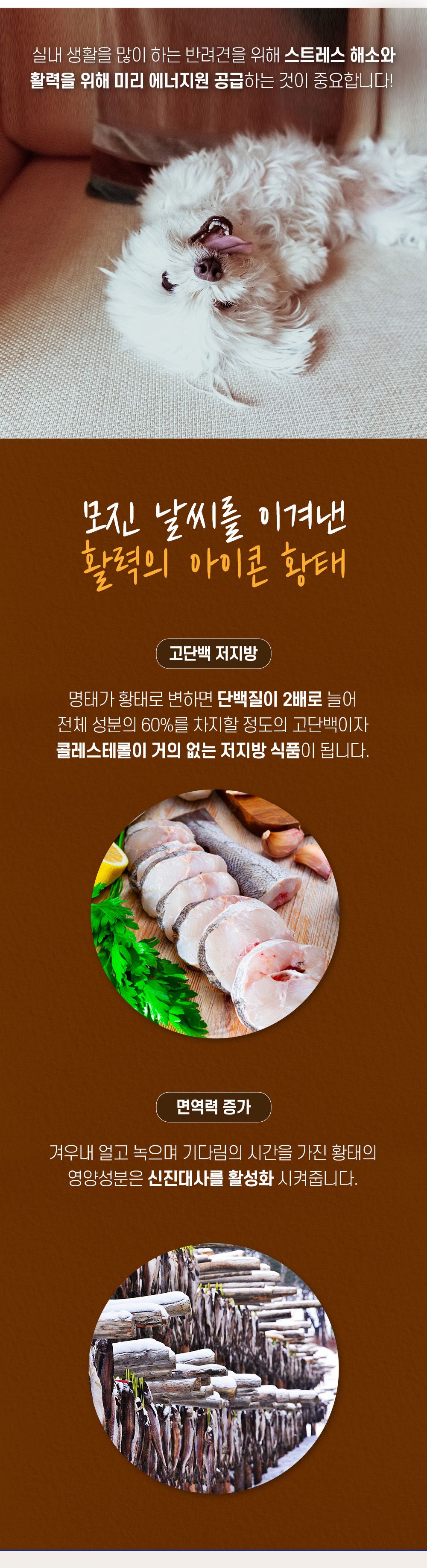더텐 독 소프트 반건조 황태&에너지 1kg 6번째