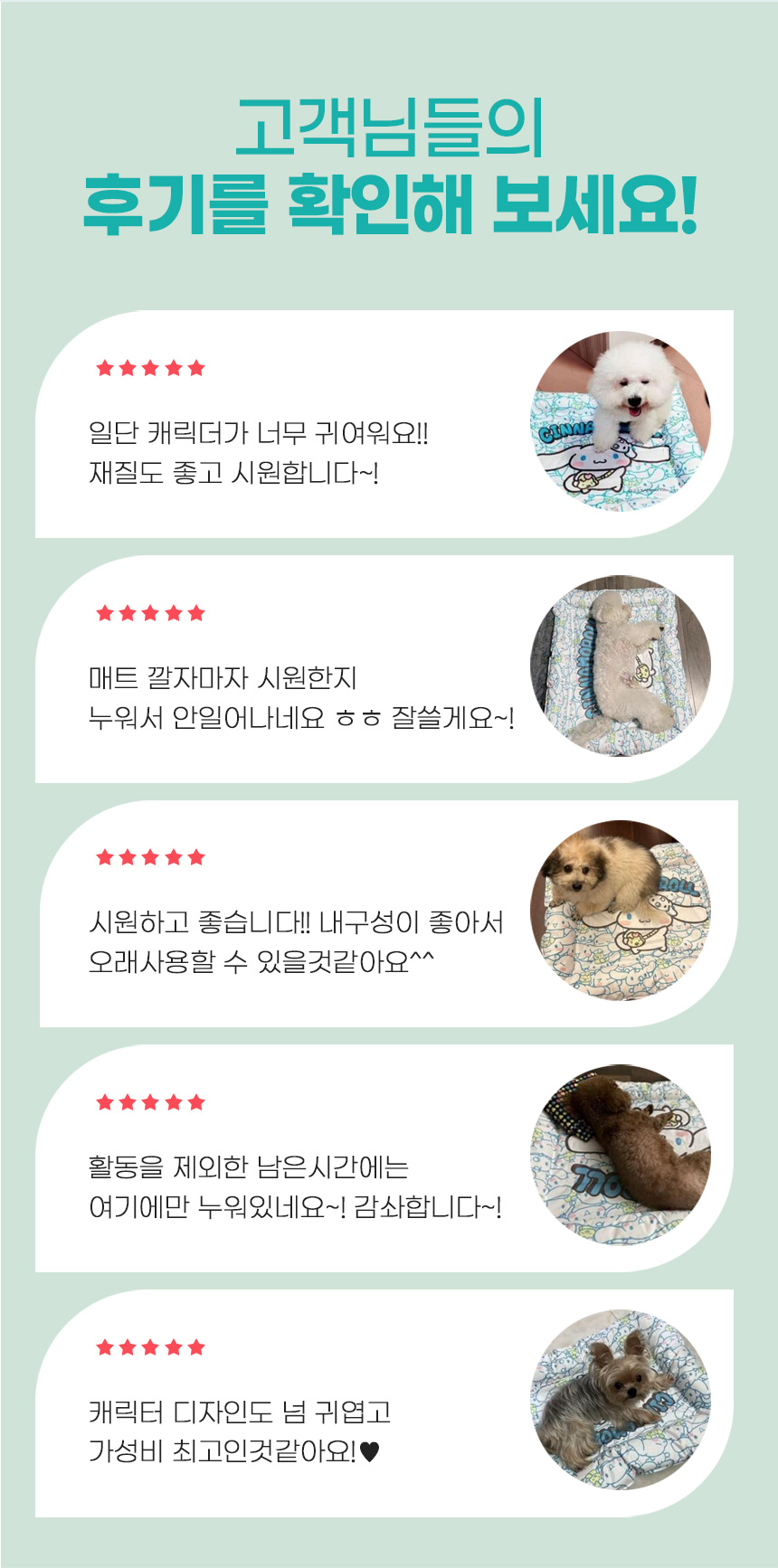 [무료배송] 쏘울펫 시나몬롤 캐릭터 사각 쿨매트 S-XL 2번째