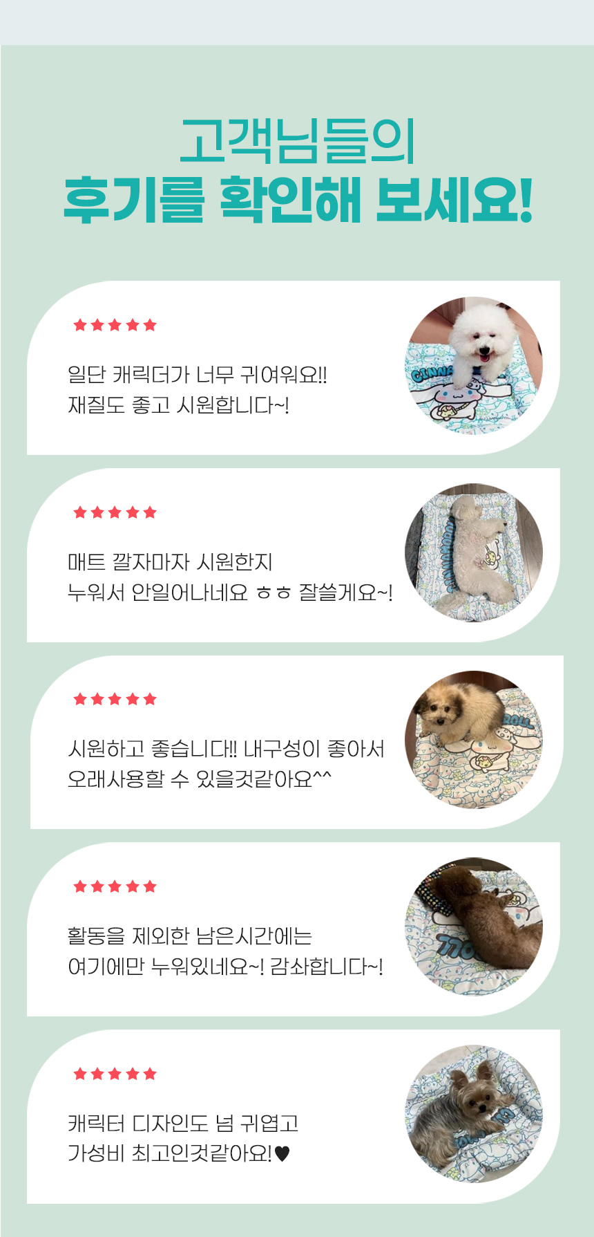 [무료배송] 쏘울펫 시나몬롤 캐릭터 사각 쿨매트 S-XL 2번째
