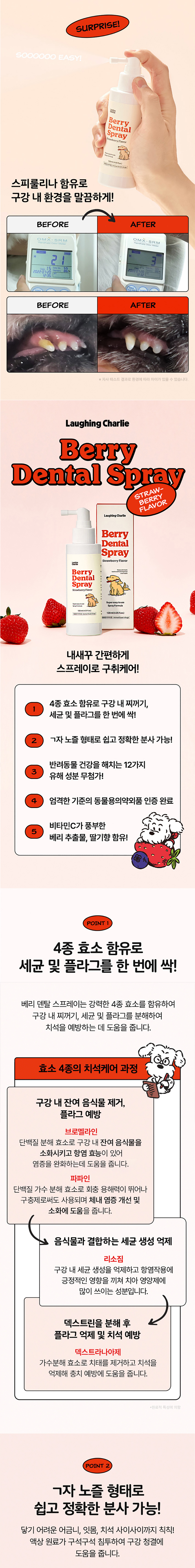 [NEW신상][무료배송] 래핑찰리 베리덴탈 스프레이 120ml 2번째