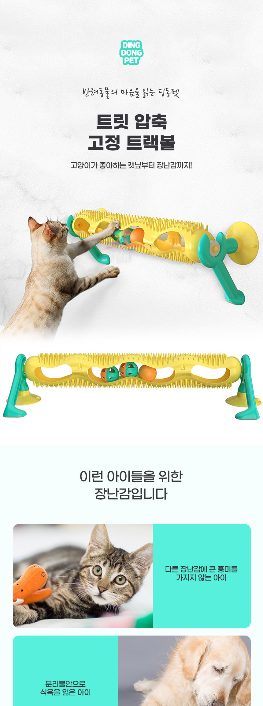 [무료배송] 딩동펫 고양이 트릿 압축 고정 트랙볼 1번째