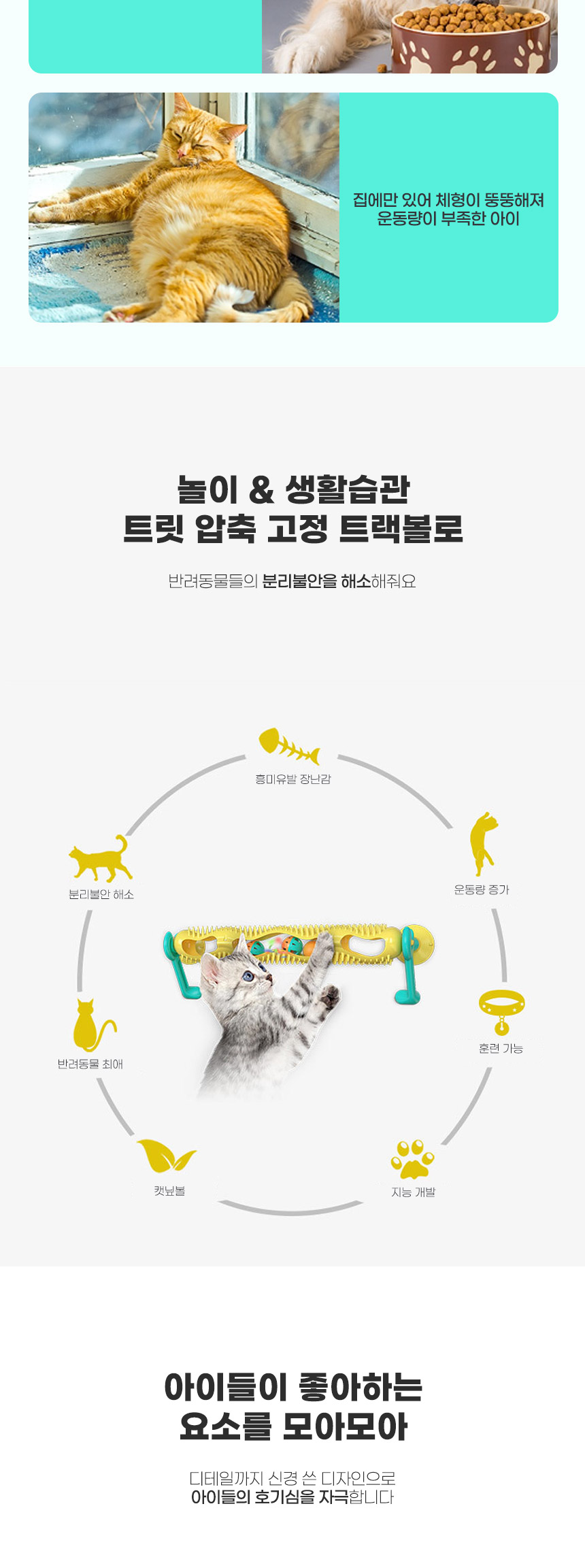 [무료배송] 딩동펫 고양이 트릿 압축 고정 트랙볼 2번째