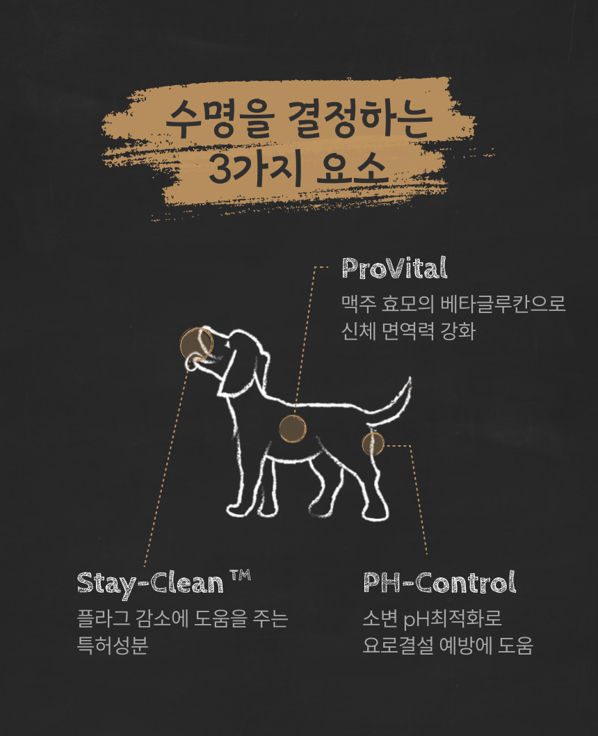 [NEW신상]벨칸도 독 마스터크래프트 연어 2.2kg 7번째