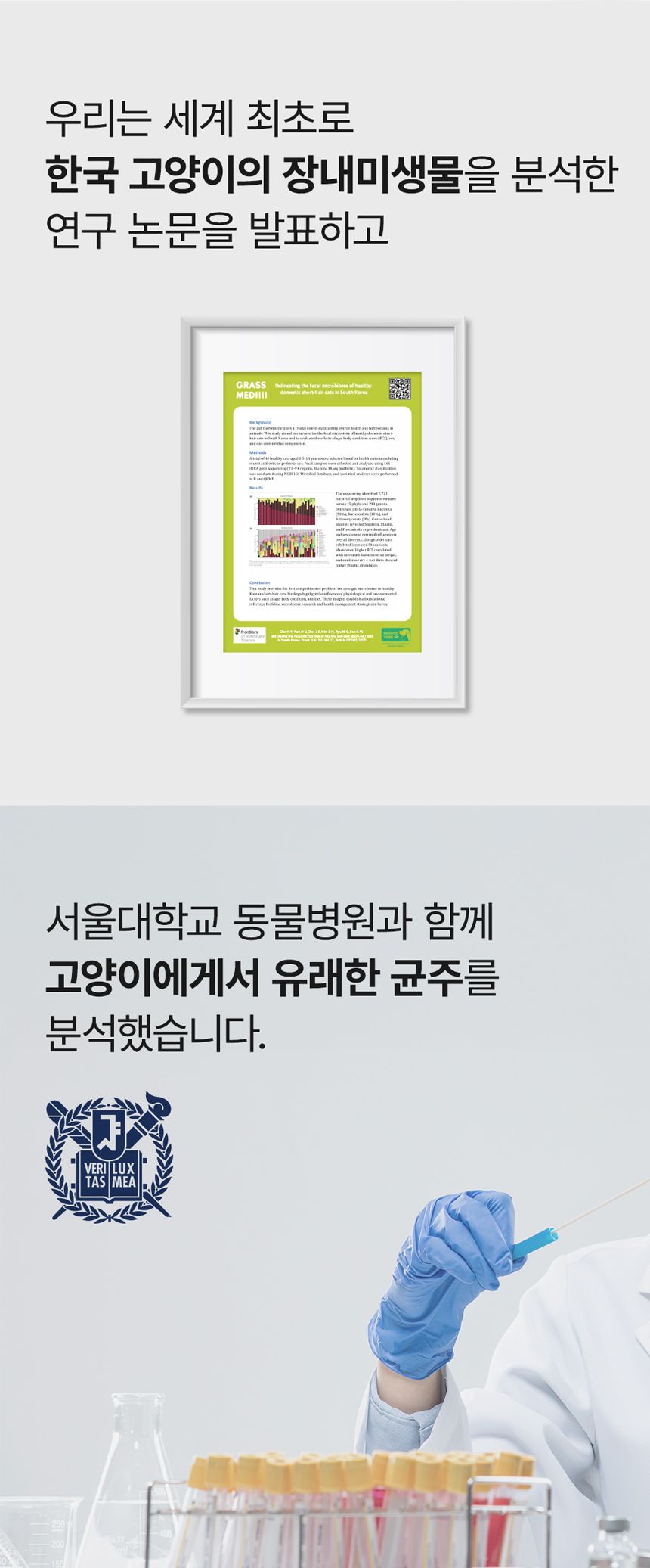 [NEW신상]유비벳 푸 디오더 프로바이오틱스 큐브 포 캣 30g 4번째