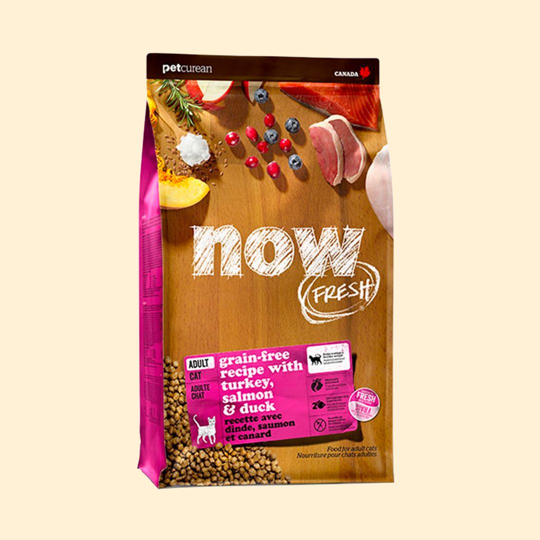 now 캣 프레쉬 어덜트 1.36kg 0번