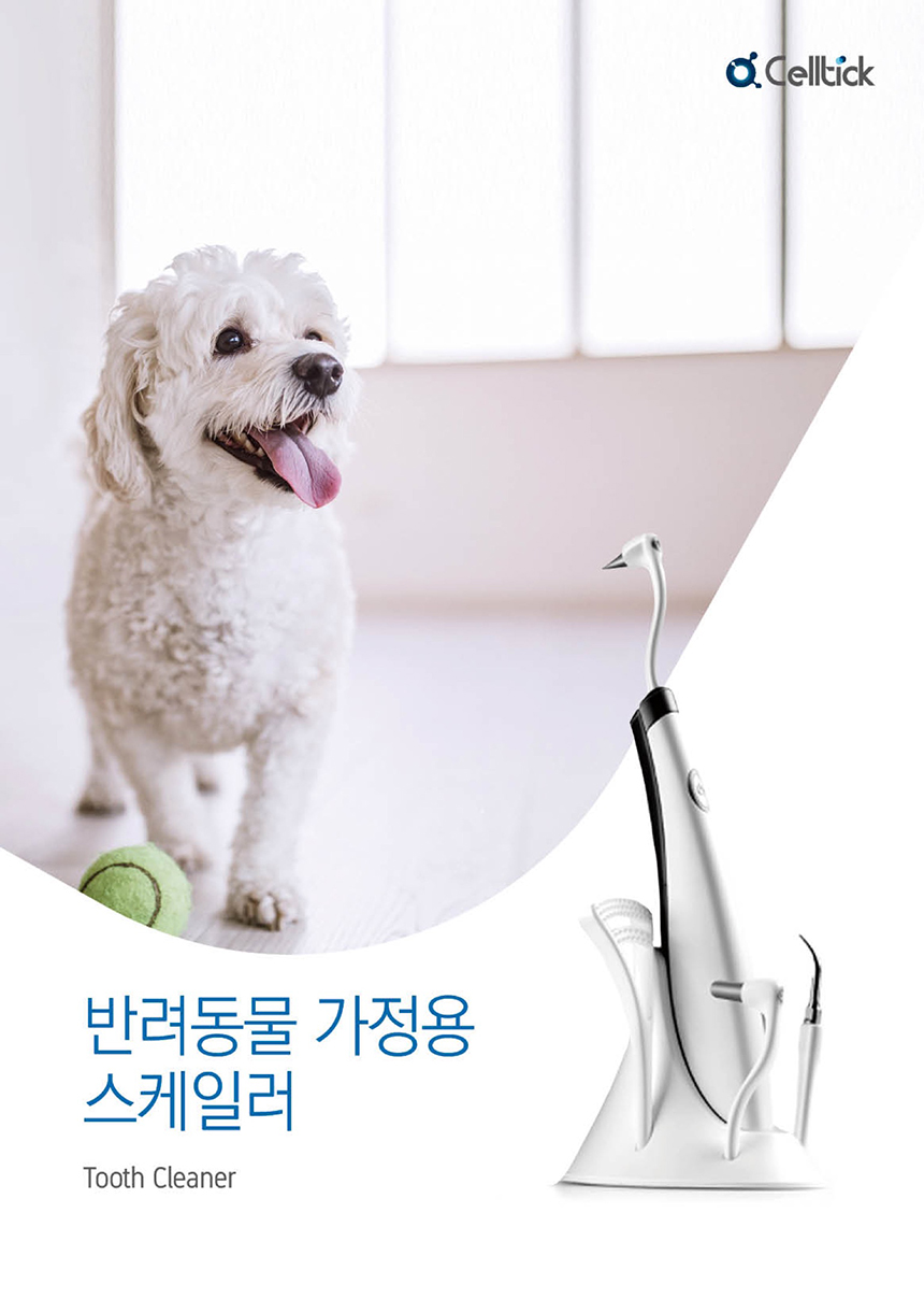 [무료배송] 셀틱 가정용 스케일러 1번째
