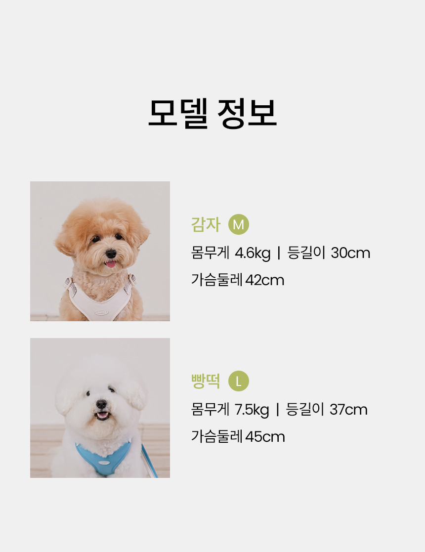 [NEW신상][무료배송] 리카리카 브리즈 워크 하네스 X자형 웜그레이/오션블루/올리브 S-L 19번째