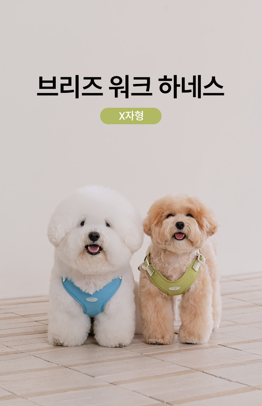 [NEW신상][무료배송] 리카리카 브리즈 워크 하네스 X자형 웜그레이/오션블루/올리브 S-L 1번째
