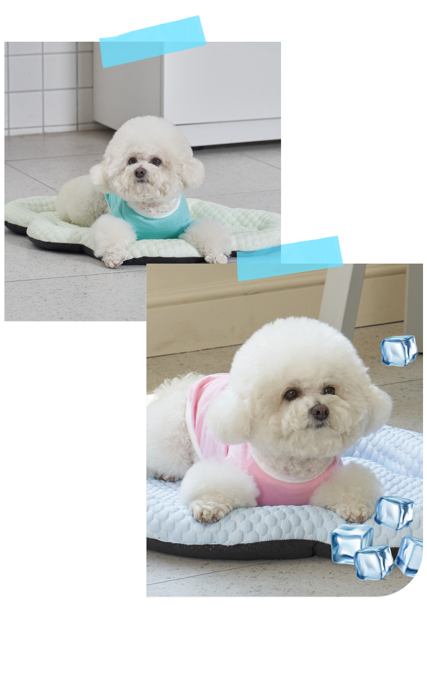 [NEW신상][무료배송] 개과천선 구름퐁 쿨 방석 (크림소다/크림멜론) 9번째
