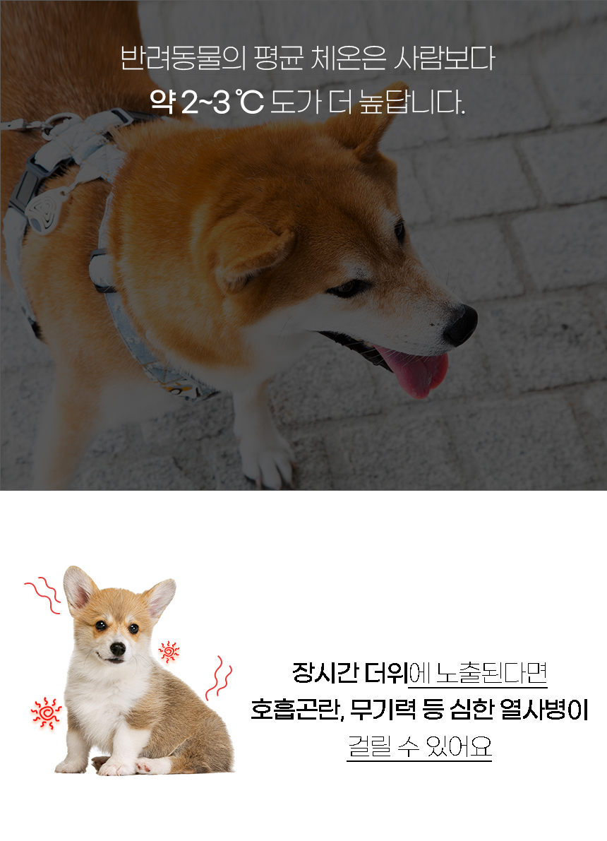[NEW신상][무료배송] 개과천선 구름퐁 쿨 방석 (크림소다/크림멜론) 3번째