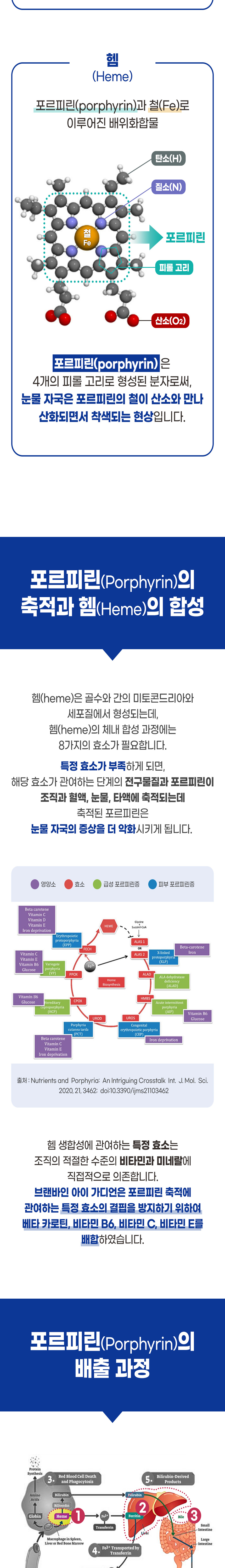 [무료배송] 브랜바인 독 아이가디언 눈 영양제 B타입 90일분 4번째