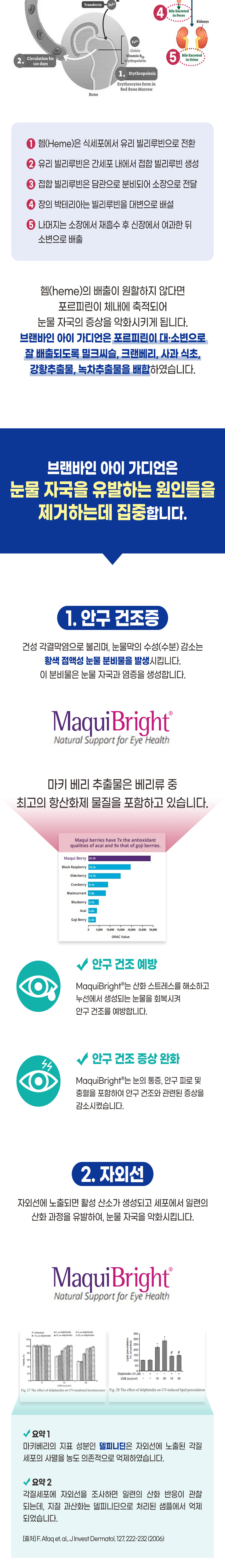 [무료배송] 브랜바인 독 아이가디언 눈 영양제 B타입 90일분 5번째