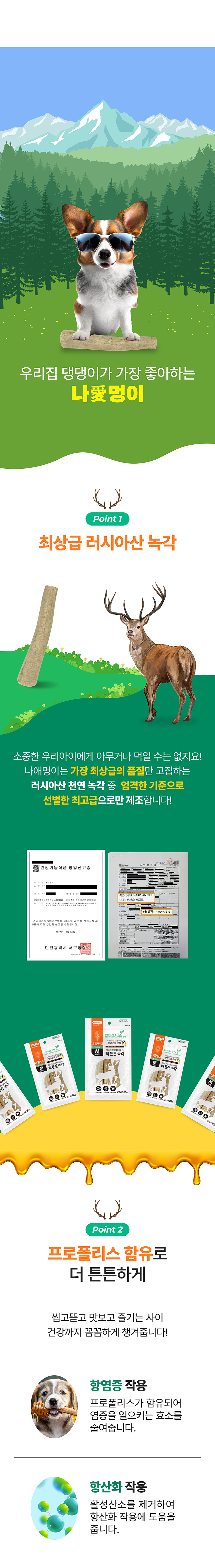 나애멍이 뼈 튼튼 사슴뿔 녹각스틱 25g/85g 4번째