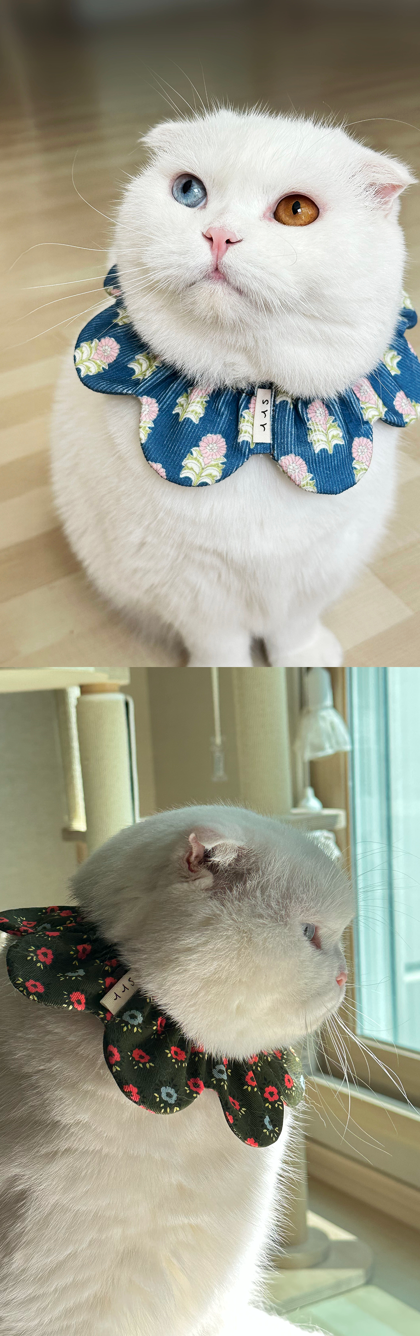 [NEW신상][무료배송] 사루루 감성 케이프 넥카라 가을시리즈 12번째