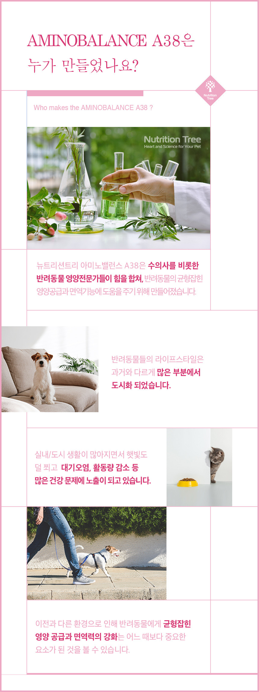 [무료배송] 뉴트리션트리 캣 아미노밸런스 A38  전연령 1.8kg 1번째