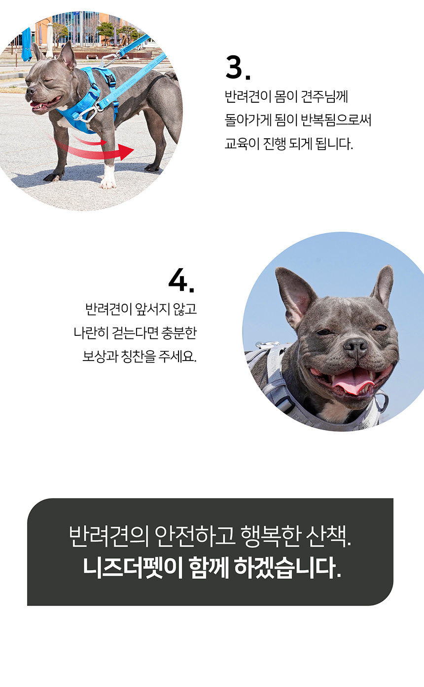 [무료배송] 인터라켄 초경량 라이트 하네스 20번째