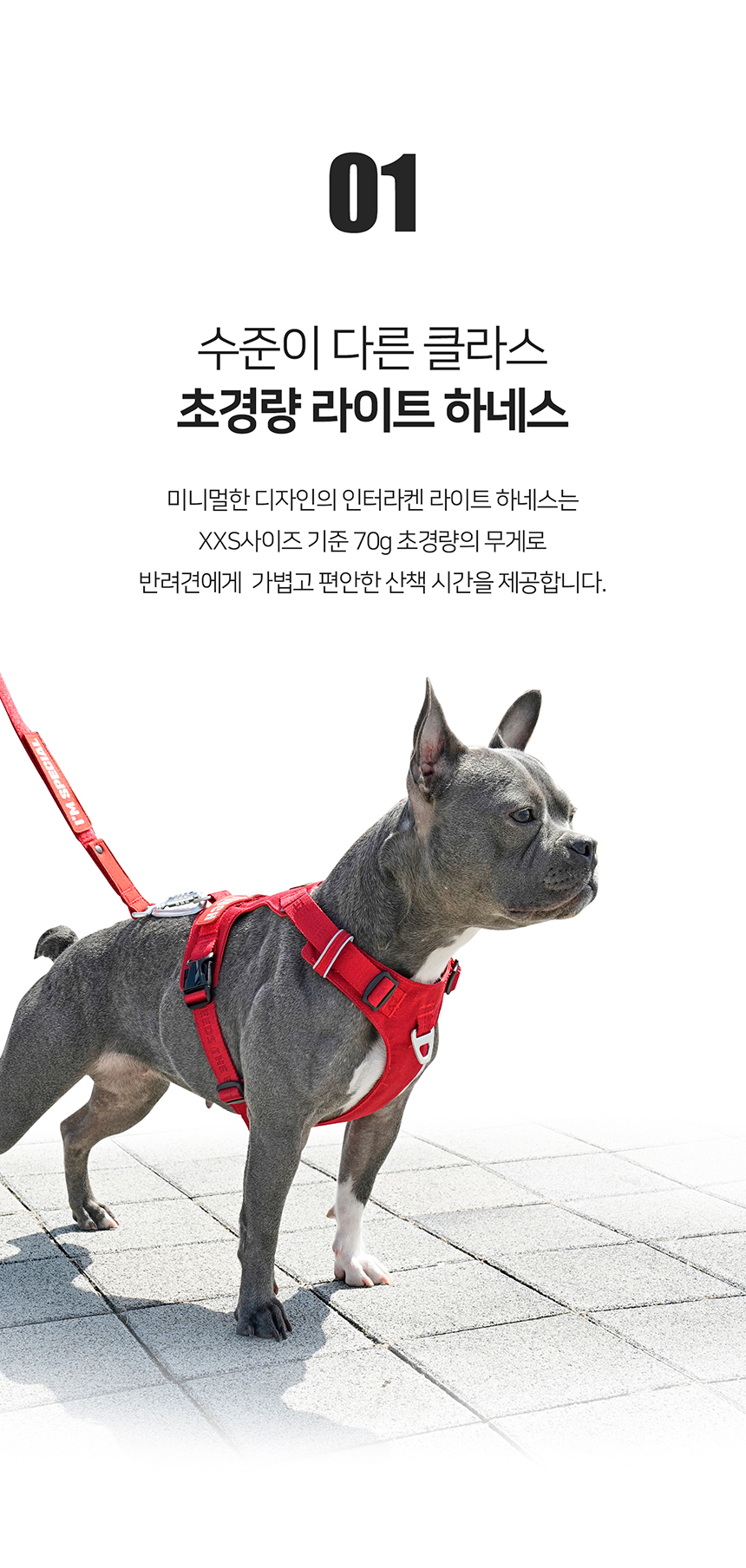 [무료배송] 인터라켄 초경량 라이트 하네스 11번째