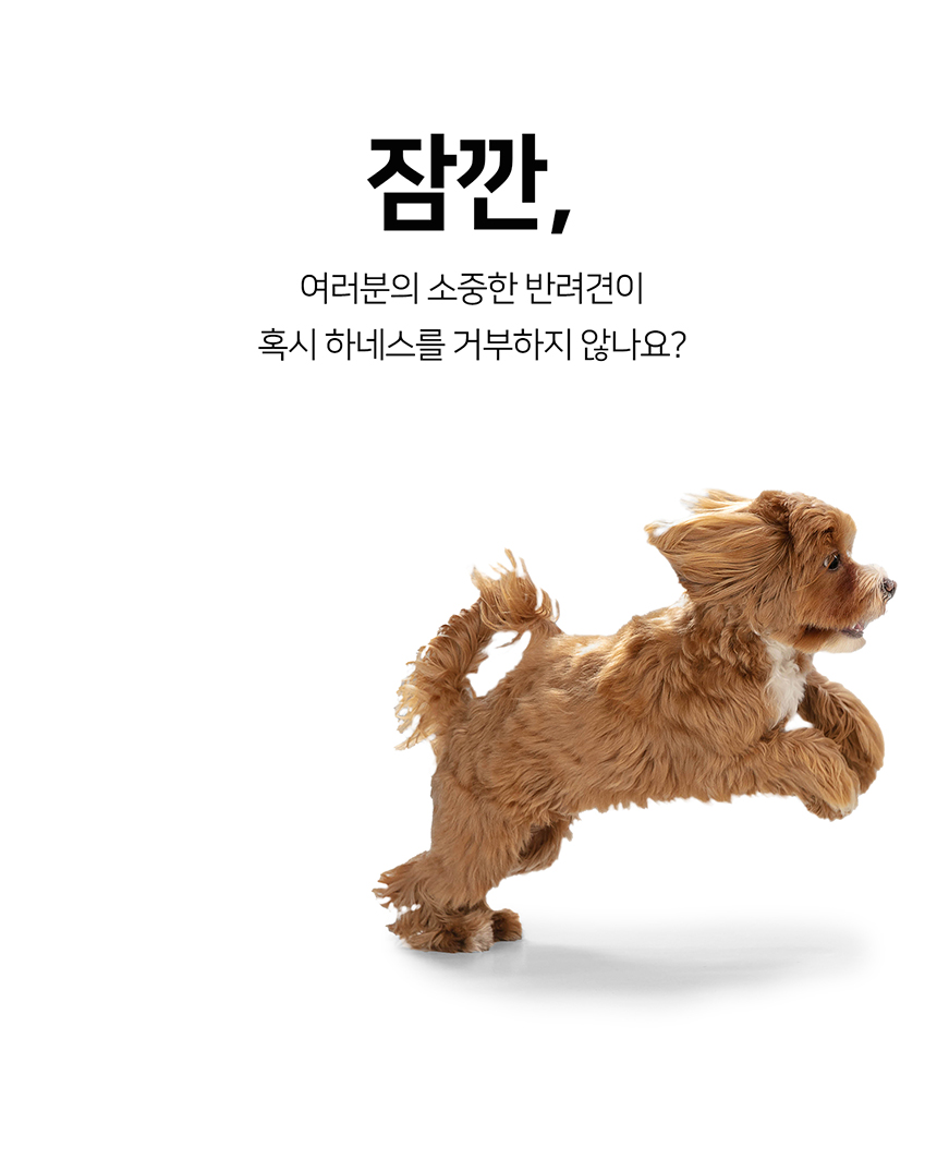 [무료배송] 인터라켄 초경량 라이트 하네스 4번째