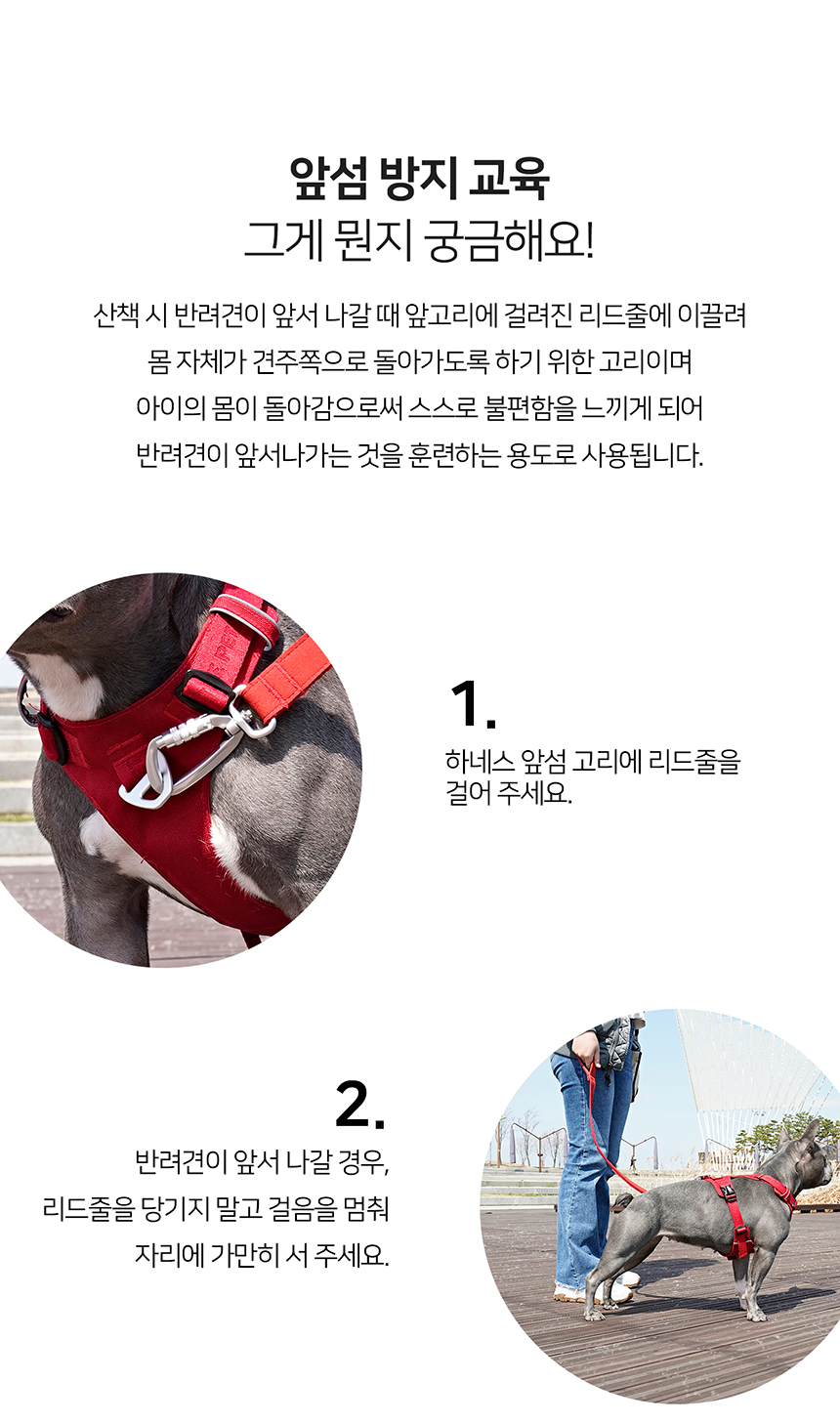[무료배송] 인터라켄 초경량 라이트 하네스 19번째
