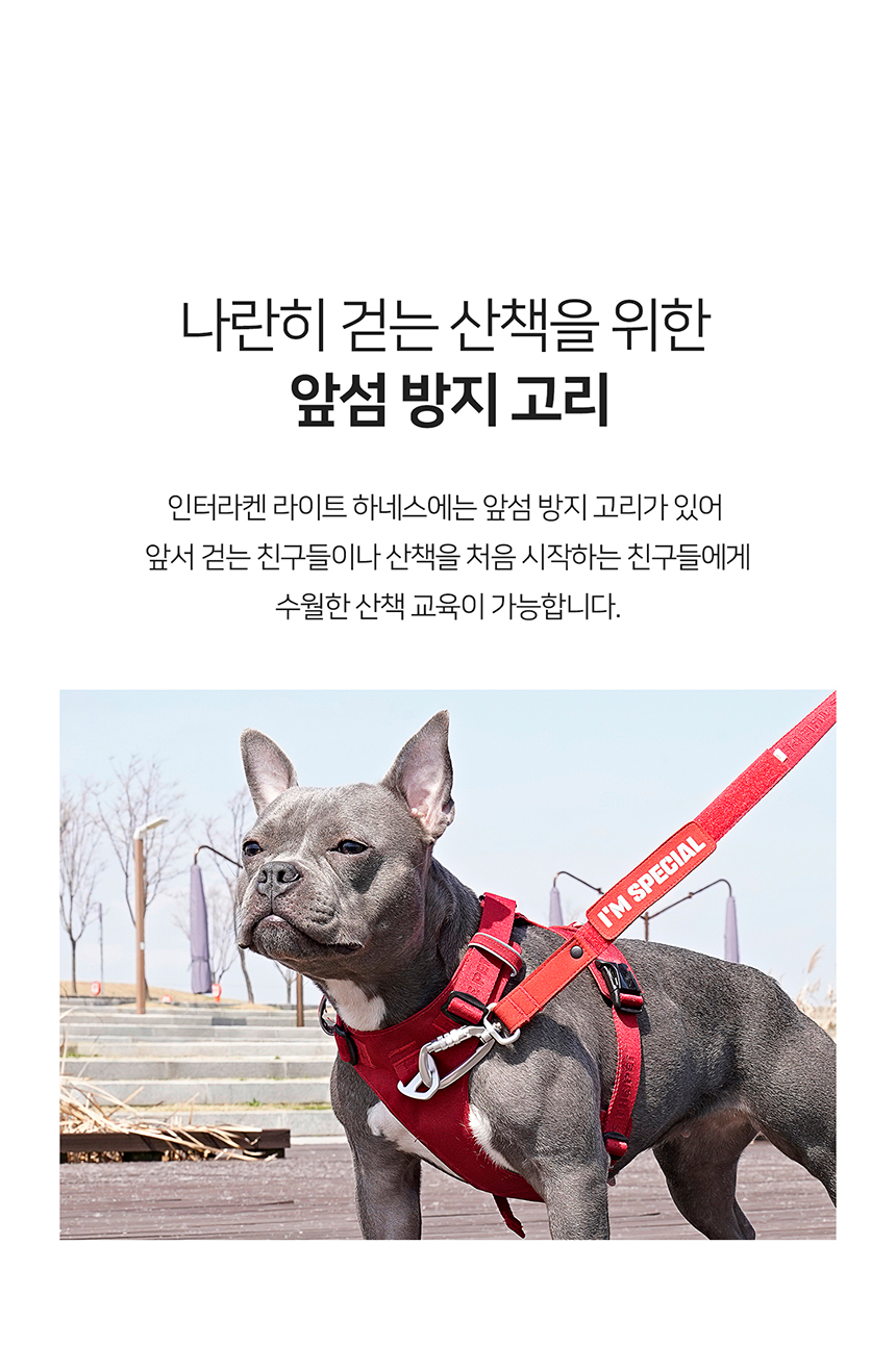 [무료배송] 인터라켄 초경량 라이트 하네스 18번째