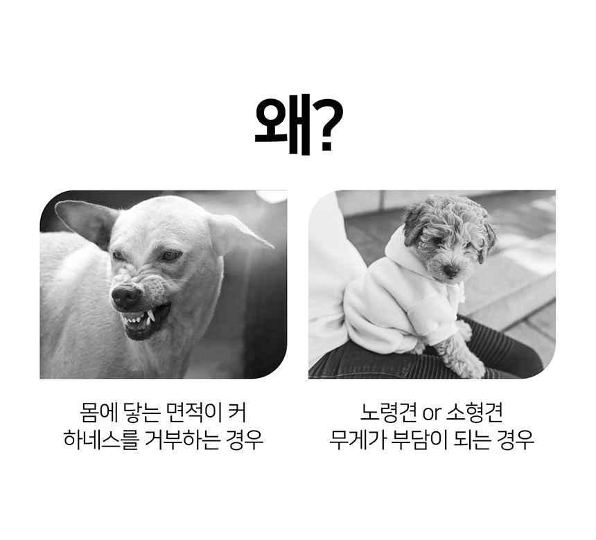 [무료배송] 인터라켄 초경량 라이트 하네스 5번째