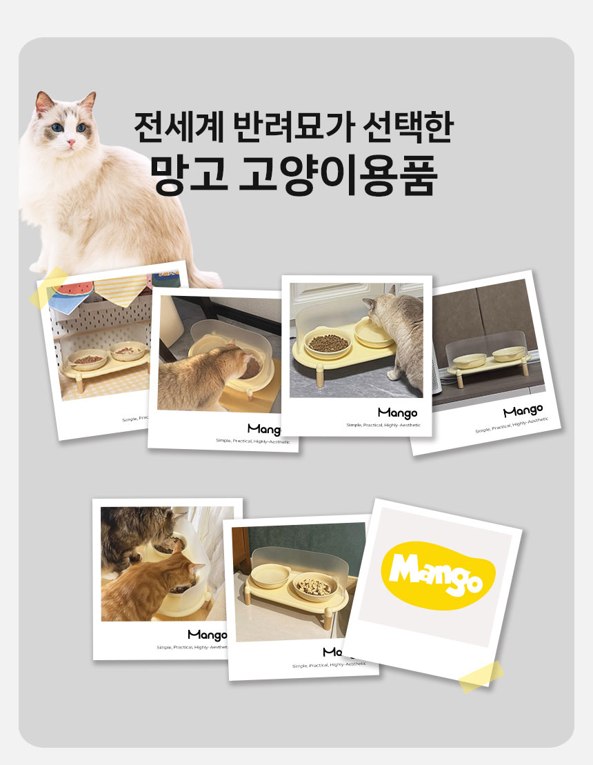 [신상특가] [무료배송] 망고 반려동물 세라믹 도자기 식기 세트 5번째