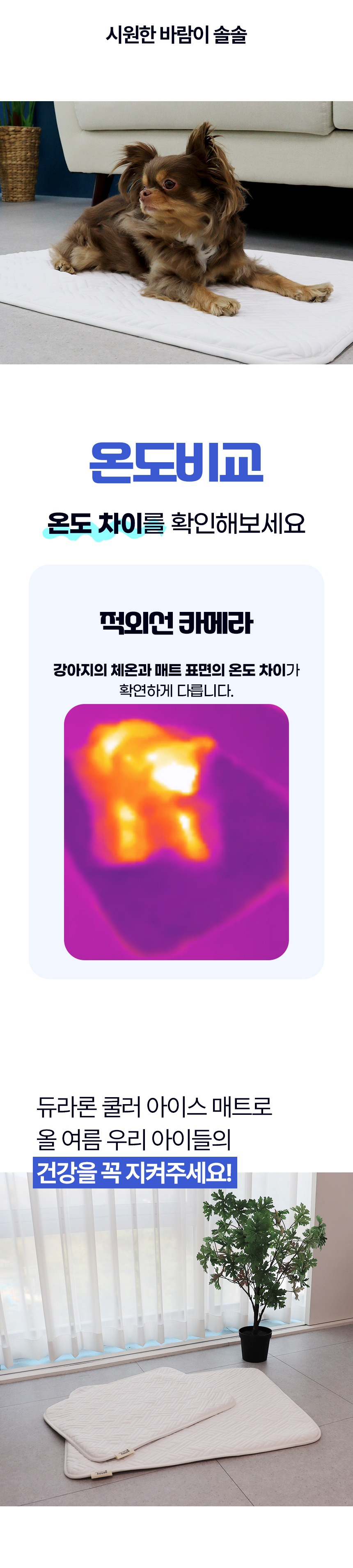 [NEW신상][무료배송] 초코펫하우스 듀라론 쿨러 아이스 쿨매트 23번째