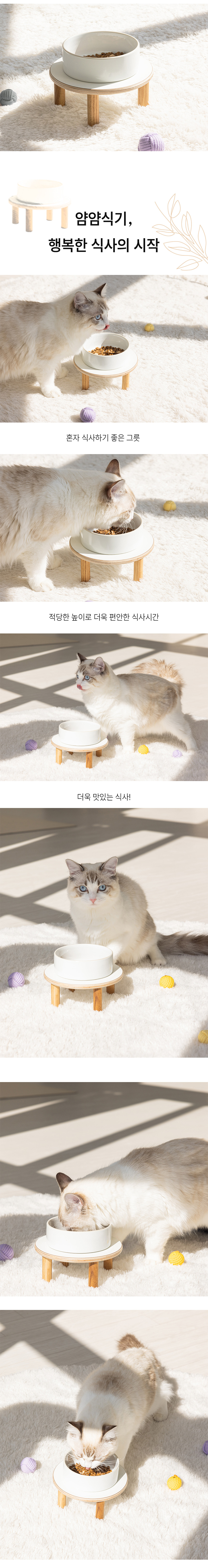 [무료배송] 모넬로 캣 얌얌식기 1구 도자기 그릇 (GO24127) 9번째