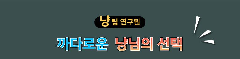 [무료배송][1+1] 콩고 캣 베이비 앤 마더 비프앤치킨 3kg 1번째