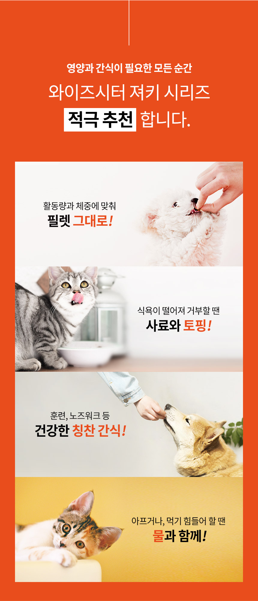 [무료배송] 와이즈시터 저키 눈/심장/관절/장 300g 25번째