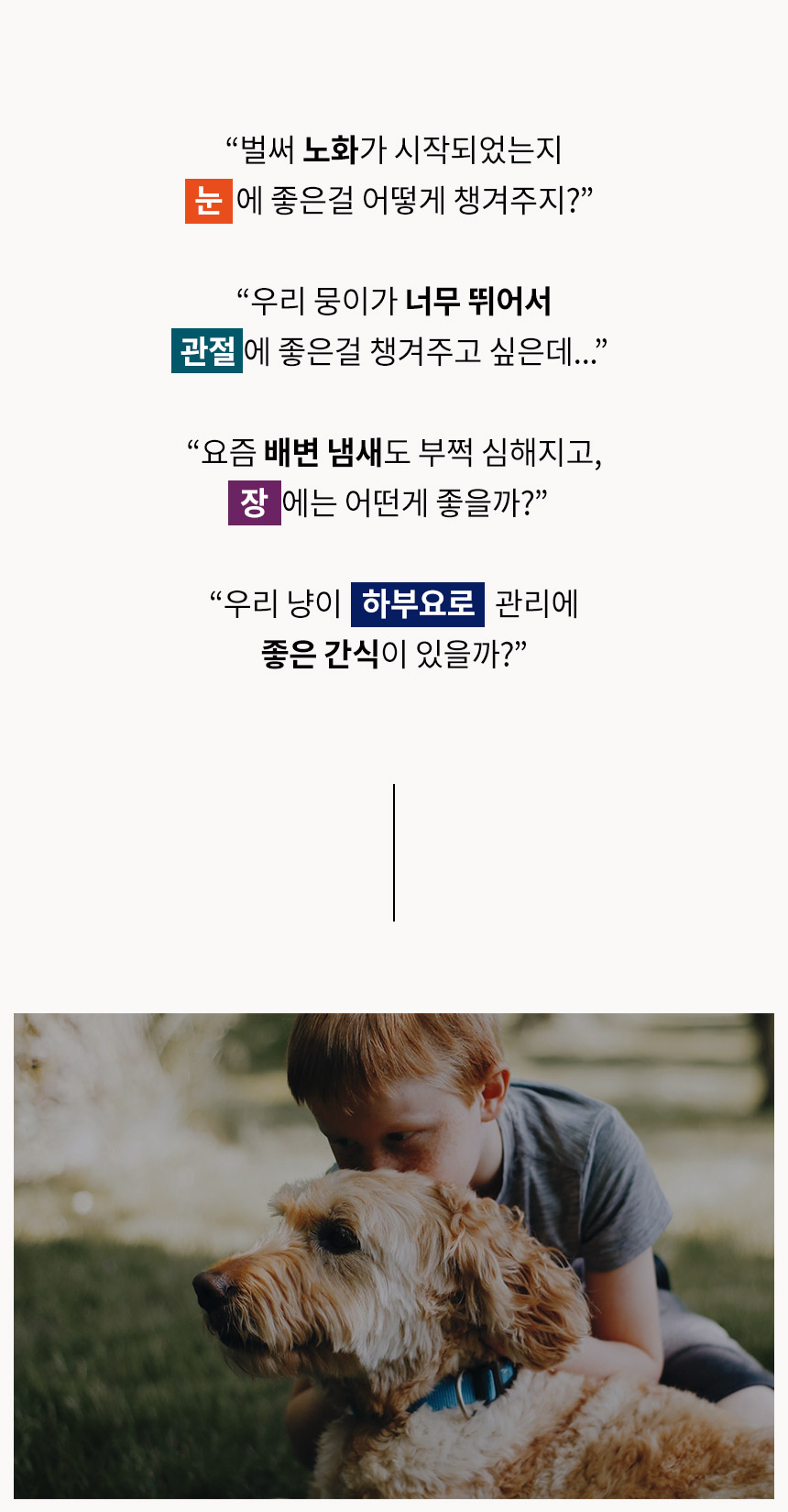 [무료배송] 와이즈시터 저키 눈/심장/관절/장 300g 2번째