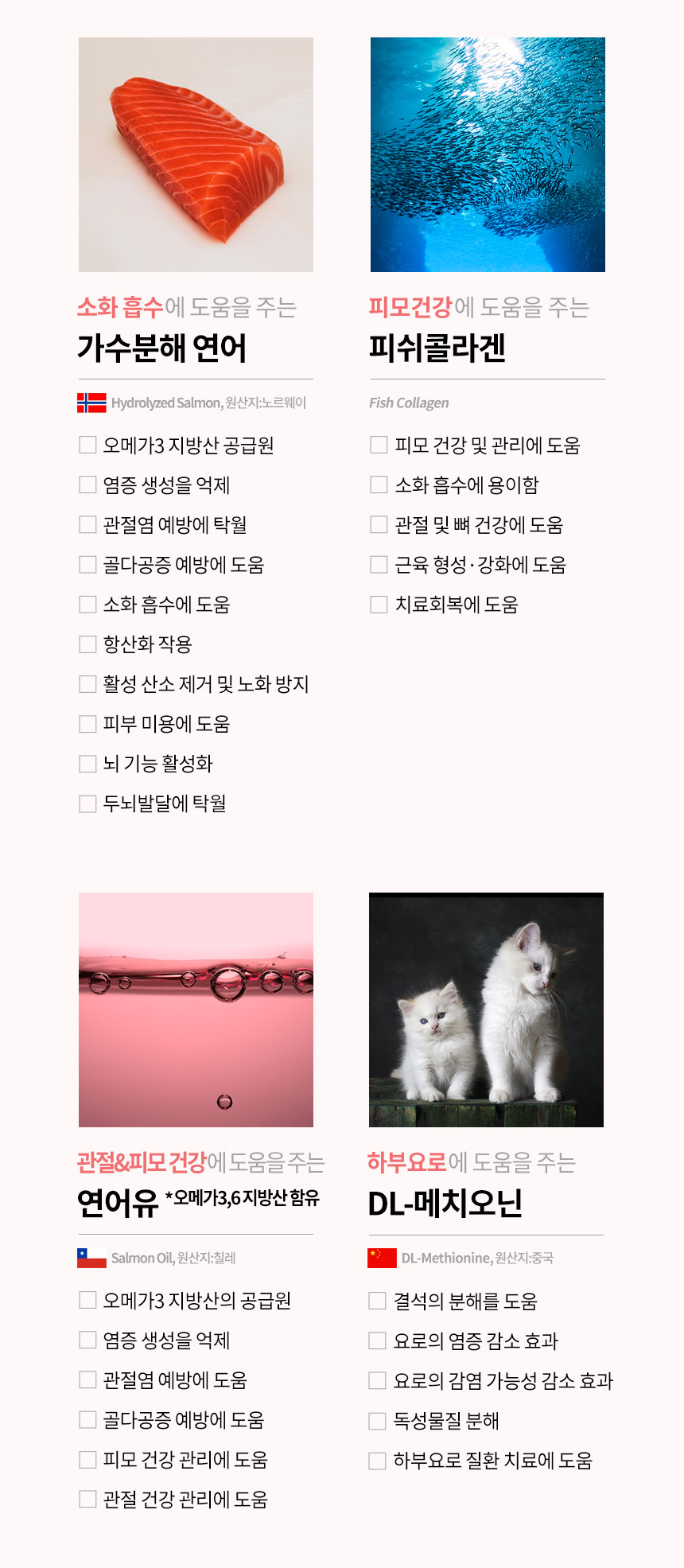 [무료배송] 와이즈시터 저키 눈/심장/관절/장 300g 21번째