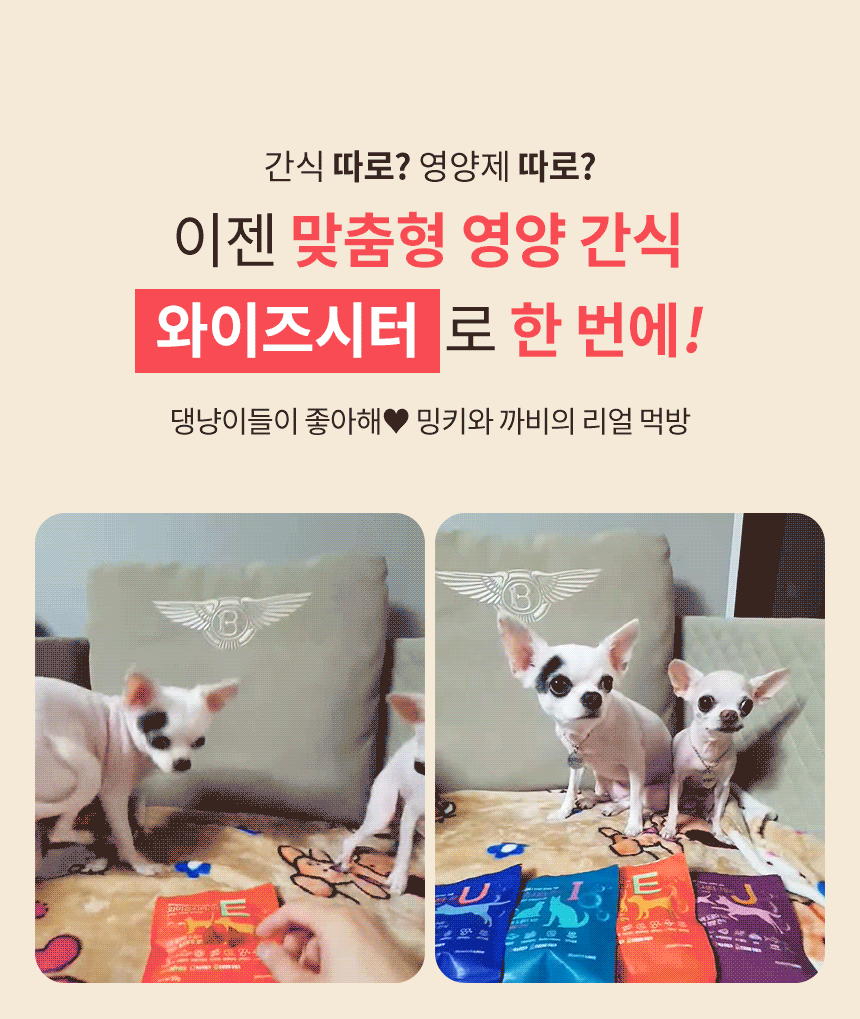 [무료배송] 와이즈시터 저키 눈/심장/관절/장 300g 5번째
