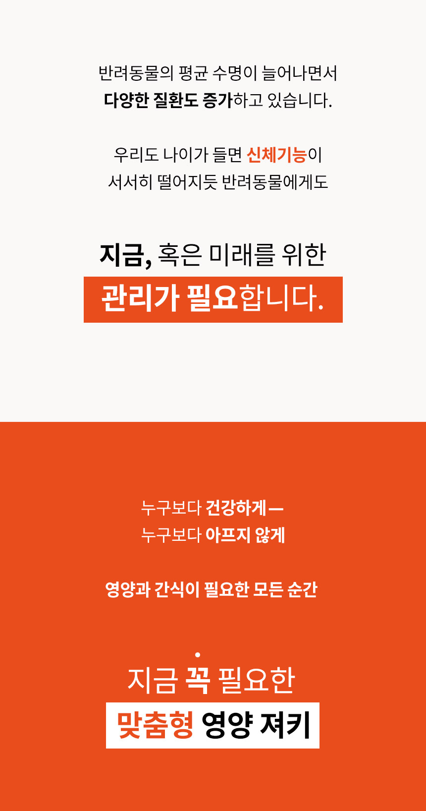 [무료배송] 와이즈시터 저키 눈/심장/관절/장 300g 3번째