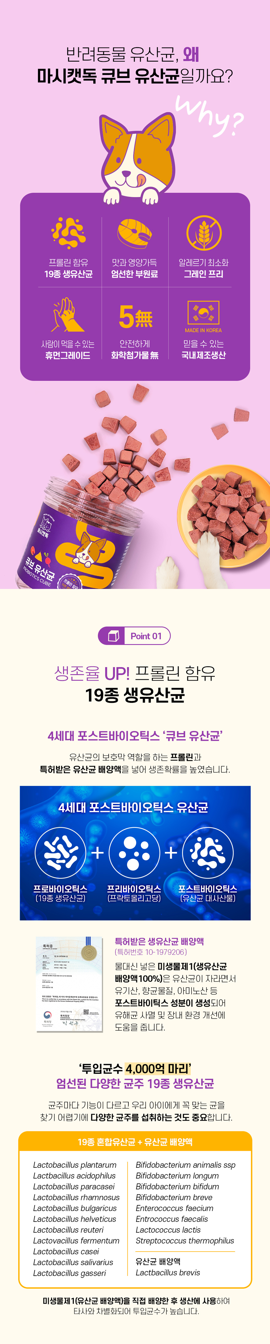 [NEW신상][무료배송] 마시캣독 큐브 유산균 50g 프로바이오틱스 장 건강 4번째
