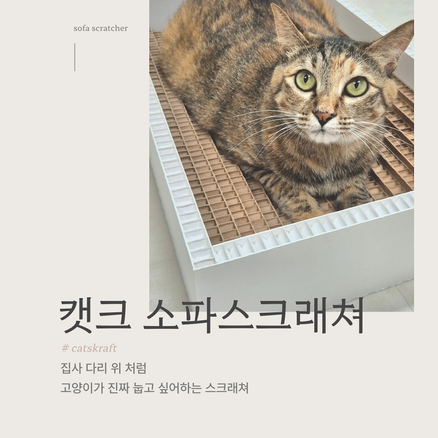 [NEW신상][무료배송] 캣츠크라프트 고강도 소파 스크래쳐 박스 1번째